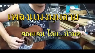 คอร์ดเพลง แมงมุมลาย - เพลงเด็ก