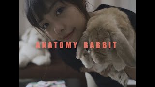 คอร์ดเพลง แอบหวัง - ANATOMY RABBIT